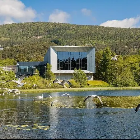 Apartament Penthouse With Sauna, Balcony And Free Coffe Bergen