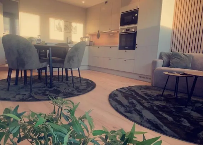 Penthouse With Sauna, Balcony And Free Coffe Apartment *