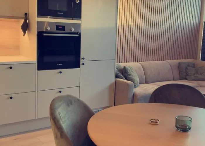 公寓 Penthouse With Sauna, Balcony And Free Coffe 卑爾根